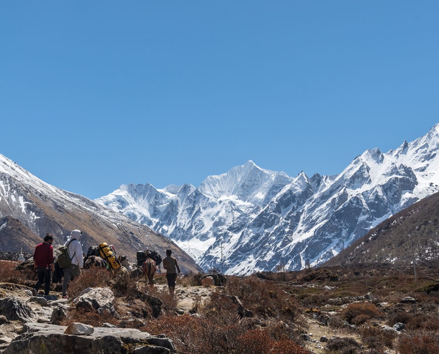 Langtang valley to kyanjin gompa trekTour Packages - Book honeymoon ,family,adventure tour packages to Langtang valley to kyanjin gompa trek|Travel Knits